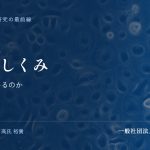老化のしくみ｜細胞はなぜ老いるのか