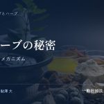 長寿ハーブの秘密｜アムラの若返りメカニズム