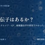 長寿遺伝子はあるか？｜サーチュイン・テロメア・IGF…候補遺伝子の研究でわかったこと